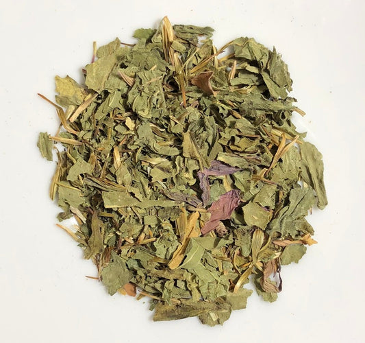 Organic Echinacea Purpurea - Rootalia