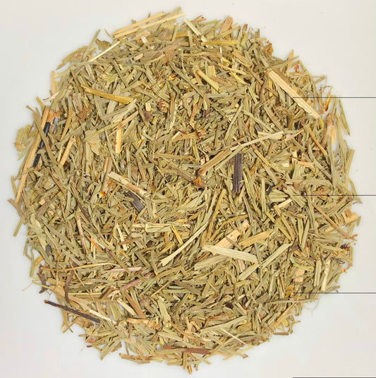 Wildcrafted Horsetail (Shavegrass) - Rootalia