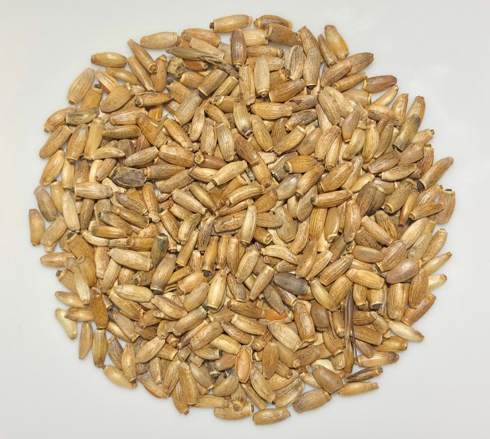Organic Milk Thistle Seed - Rootalia