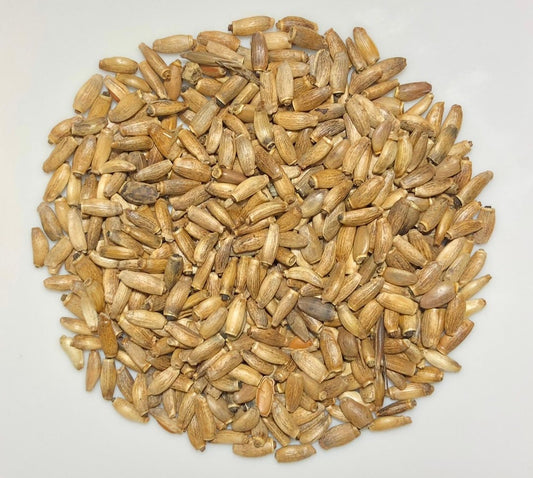 Organic Milk Thistle Seed - Rootalia